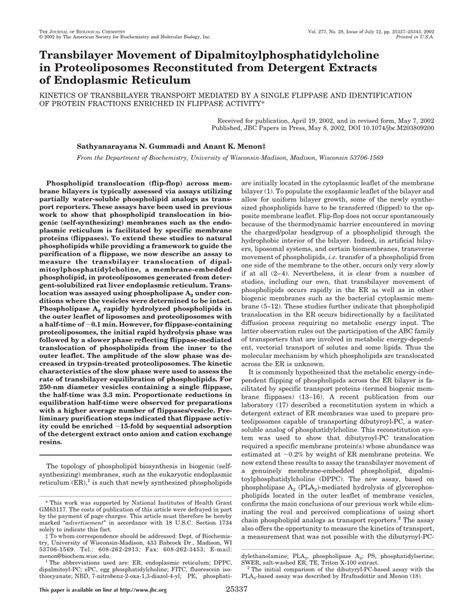 Pdf Transbilayer Movement Of Dipalmitoylphosphatidylcholine In