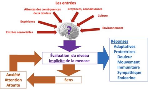 Ks DOULEUR CHRONIQUE Faut Il Cibler Le Traitement Sur La Douleur