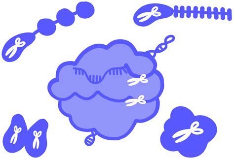 Nuclease - Innovative Genomics Institute (IGI)