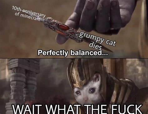 Fuck Go Back R Memes