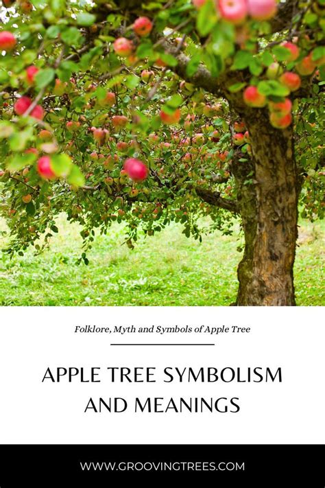 The alder tree symbolism and meaning – Artofit