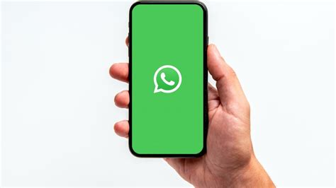 Le Videochiamate Su WhatsApp Guadagneranno Presto Nuovi Sfondi Filtri