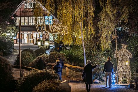 Magische Illumination Im Wildpark Schwarze Berge Freizeitpark Erlebnis