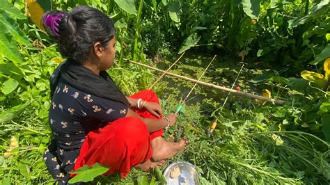 Lady Hook Fishing In Our Village Canal In Mud Water Lady Catching Big