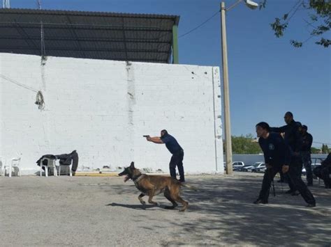 Reciben Elementos De La Sspm Entrenamiento Perr N Norte De Ciudad