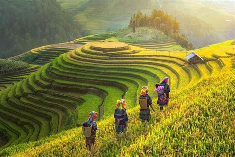 Tripadvisor Sapa 2 Tage 1 Nacht von Hanoi zur Verfügung gestellt von