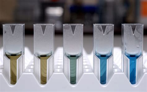 Bradford Protein Assay Showing Increasing Amounts Of Protein Concentration Eiroforum