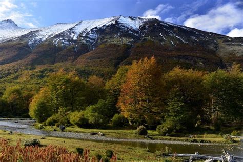 El Parque Nacional Tierra Del Fuego Cumpli A Os