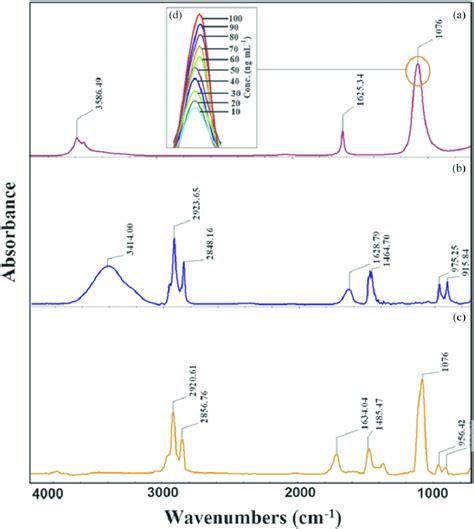 ATR FTIR Spectra Of A Sodium Perchlorate B CTAB As The IP Reagent