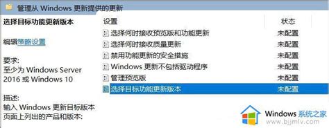 避免win10自动更新成win11设置方法如何防止win10自动更新到win11 Windows系统之家