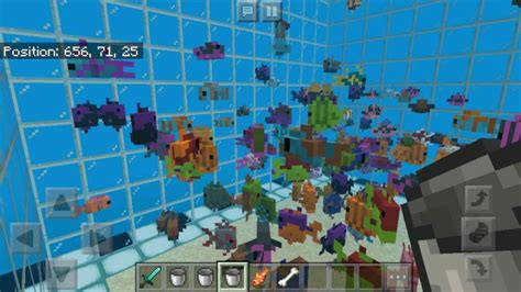 Minecraft Tropical Fish Spawns Uses And More FirstSportz