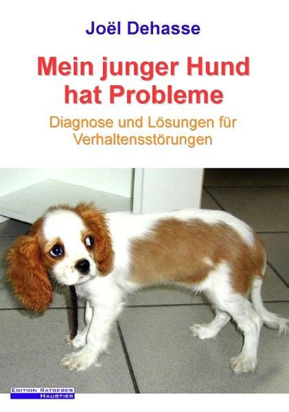 Mein Junger Hund Hat Probleme Das Honigh Uschen In Bonn