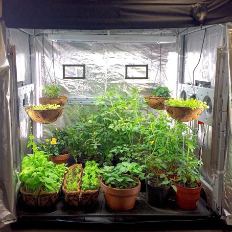 Cultiva Blog Como Montar Seu Grow Para Cultivo Indoor Parte 2 2