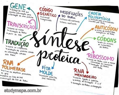 Pesquisou por Síntese STUDY MAPS Mapas mentais Estudos para o enem