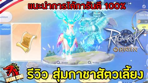 Ragnarok Origin รวว สมกาชาสตวเลยง แนะนำวธการไดการนต 100