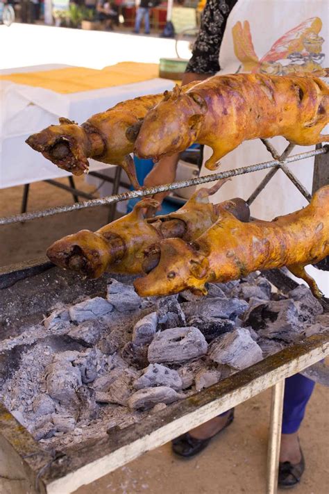 How to Eat Guinea Pig: Cuy in Ecuador - Bacon is Magic