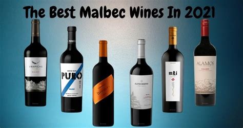 The Best Malbec Wines In 2021 - Wine Affection - Wine blog for all kind ...