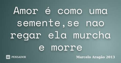 Amor é Como Uma Semente Se Nao Regar Marcelo Aragão 2013 Pensador