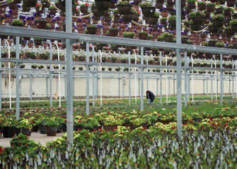 Open House – Dutch Heritage Gardens