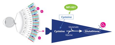 Npi En Tabletas Para El Tratamiento De La Retinosis Pigmentaria Rp