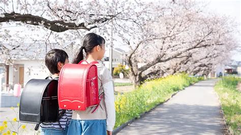 歩行中に死傷した小学生の交通事故 3人に1人は登下校時