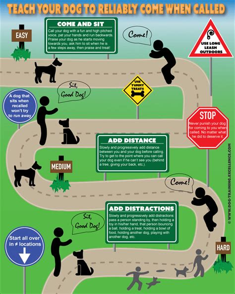 Dog Hand Signals Commands Fingerrolf