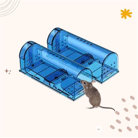 The 7 Best Humane Mouse Traps of 2023