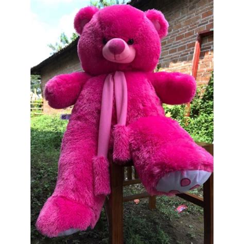 Jual BONEKA TEDDY BEAR JUMBO MURAH BESAR 1 5M Meter SNI Shopee Indonesia