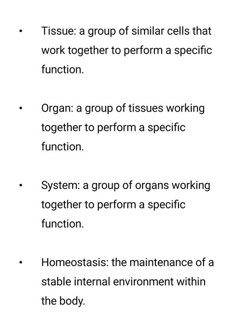 Solution Introduction To Terminology And Body Organization Studypool