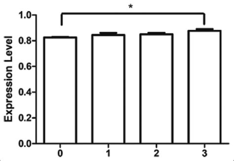 Expression Level Of Toll Like Receptor 2 Gene Transcript At Different Download Scientific