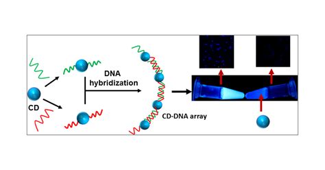 Creation Of Linear Carbon Dot Array With Improved Optical Properties