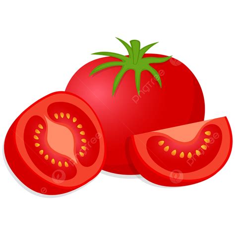 Tomate Fatias De Tomate Vector Clipart Png Tomate Rodelas De