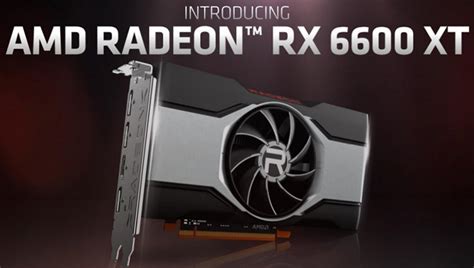 AMD представила Radeon RX 6600 XT - видеокарту для 1080p, которая ...