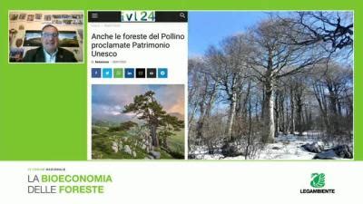 IV Forum Nazionale La Bioeconomia Delle Foreste 18 11 2021