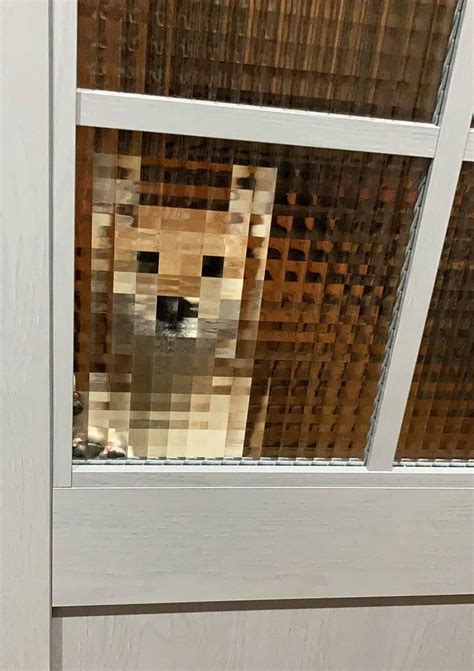 Realistic Dog : r/Realistic_Minecraft