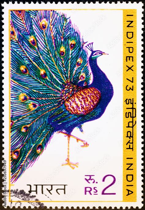 Beautiful peacock on indian postage stamp Stock Photo | Adobe Stock