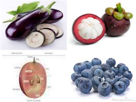 Fruits Parts And Classification Ppt