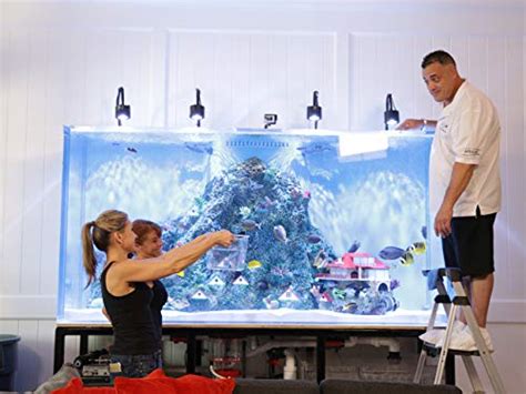 Tanked Tv Show