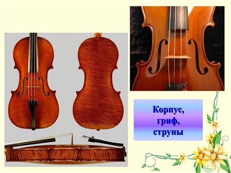 Музыкальные инструменты. Скрипка и виолончель (4 класс) - презентация ...
