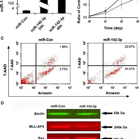 Mir P Inhibited Cell Proliferation And Induced Apoptosis In