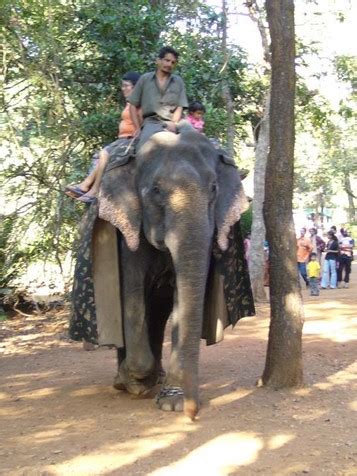 Goa Wildlife: Sanctuaries in Goa, Bondla, Mollem, Bhagwan Mahavir ...