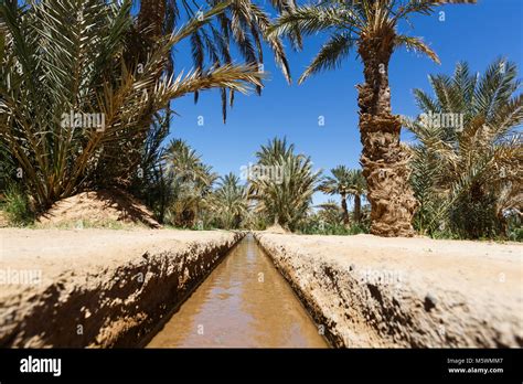 Oasis in the middle of a desert Morocco Stock Photo - Alamy