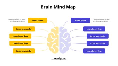 Brain Mind Map Relationship Diagram