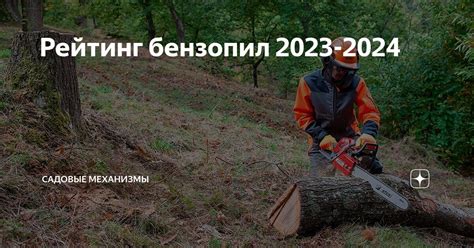 Рейтинг бензопил 2023-2024 | Садовые Механизмы | Дзен