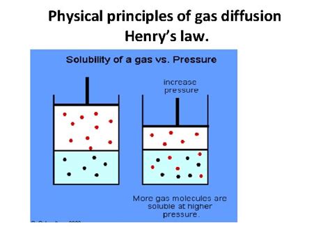 Physical Principles Of Gas Diffusion Physical Principles Of