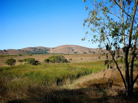 Coyote Hills Regional Park Fremont Ca Flickr