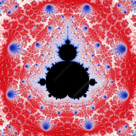 Mandelbrot fractal - Stock Image - F003/5041 - Science Photo Library