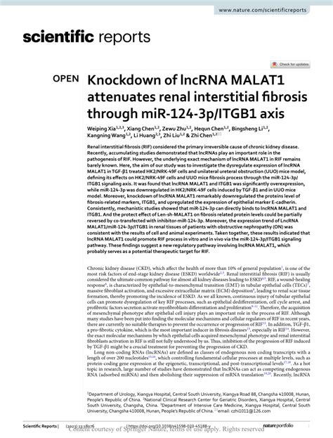 PDF Knockdown Of LncRNA MALAT1 Attenuates Renal Interstitial Fibrosis