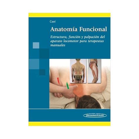 Cordura Higgins Mismo Anatomia Funcional Del Aparato Locomotor Folleto