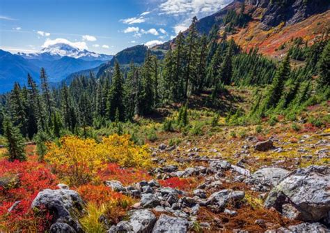 11 Best Fall Hikes in Washington (For Larches & Fall Colors) - The ...